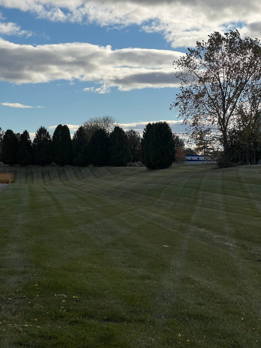 Lush green lawn with striped patterns, trees in background under a cloudy blue sky.