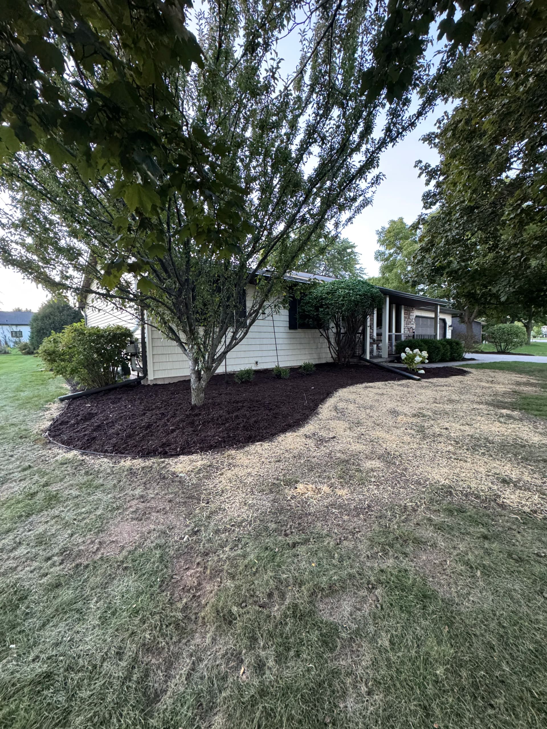 Curb Appeal Refresh With New Mulch, Edging, and Plants image