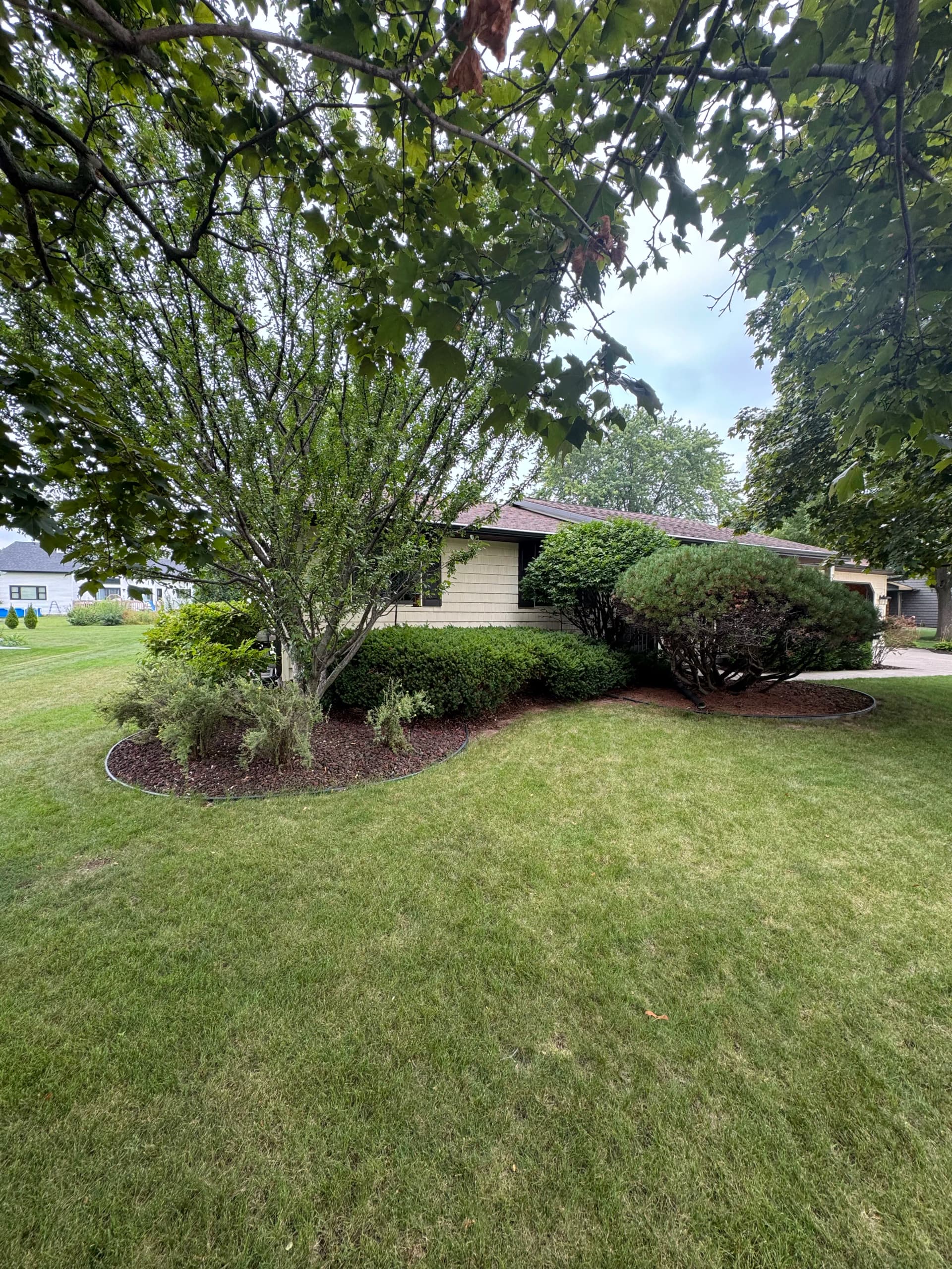Gallery photos for Curb Appeal Refresh With New Mulch, Edging, and Plants: Image #3